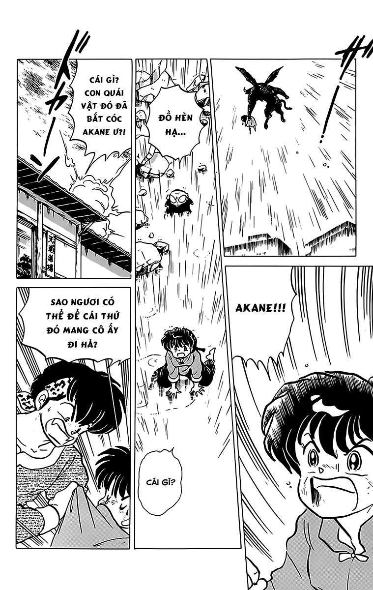 https://cdn.nhattruyenplus.store/105/105635/oxopandas-ranma-chap-181-ranma-18-028-p2j.jpg