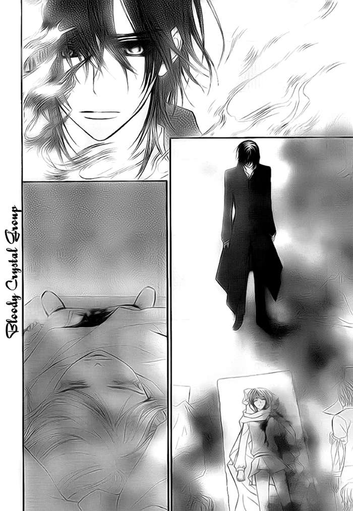 https://cdn.nhattruyenplus.store/19/19172/vampireknight-006.jpg