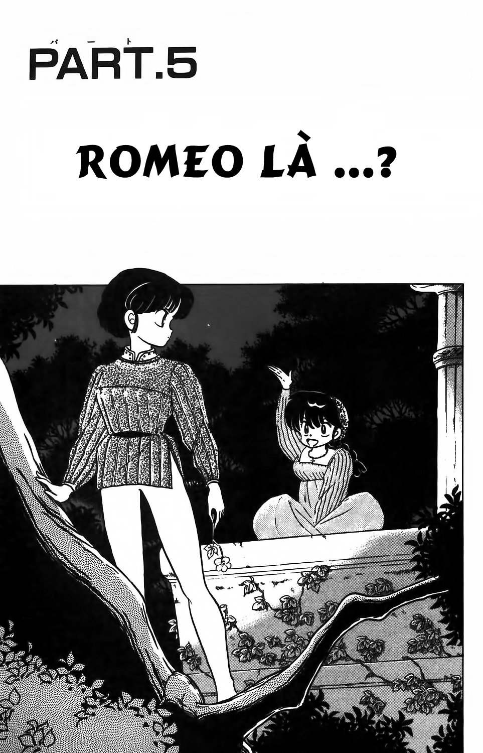 https://cdn.nhattruyenplus.store/74/74314/fto-rm-74-ranma-8-069.png