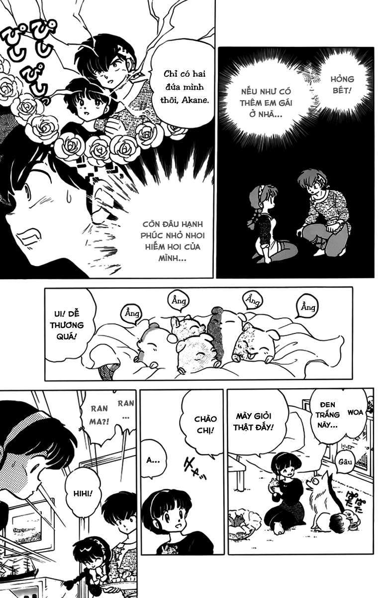 https://cdn.nhattruyenplus.store/80/80197/oxopandas-252520ranma-252520-252520chap-252520104-ranma-11-027-p2j.jpg